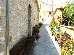 Pebbled floral street outside Romios
