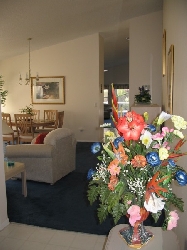 View from hall