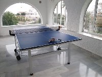 Table Tennis Room