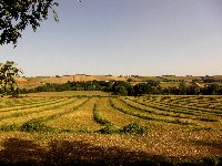 View from garden across fields
