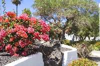 Gardens