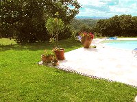 view from the pool