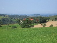 view from the kitchen window