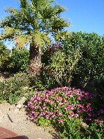 part of the gardens