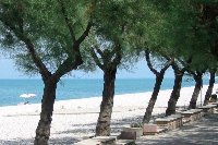 Our nearest beach. Not exactly crowded !