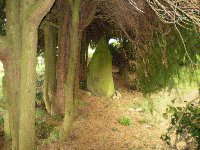 Our Menhirs or standing stones