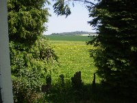 The view from the bathroom window