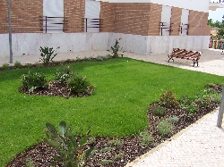 Garden view from bedroom window