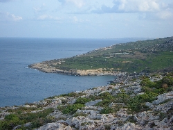 Dahlet Qorrot
