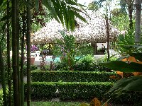 Villa garden views