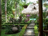 Garden views