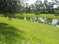 View of pond behind villa