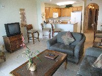Living Room and Kitchen