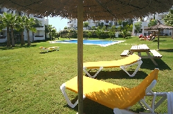 Pool & garden