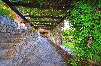 Pergola