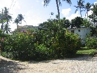 photo of art studios taken from  beach