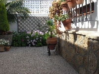 Partial view of the garden of the house.
