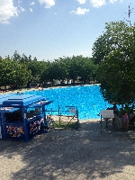 Local Swimming Pool
