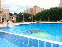 Large Swimming Pool