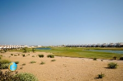 The golf course