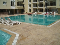the complex