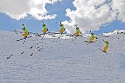 Skiing in Roccaraso