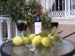 Garden Fruit Trees