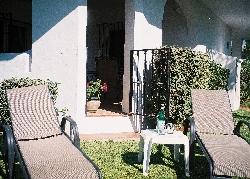 Garden with sun loungers