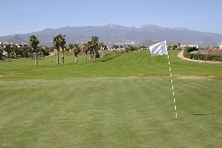 11th Hole