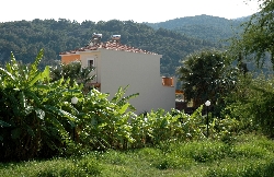 Side view of house.