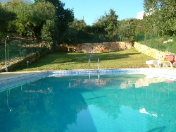 Condominium Pool