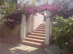 Garden area