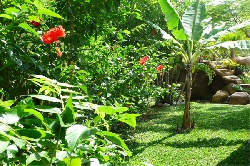 garden , outside shower
