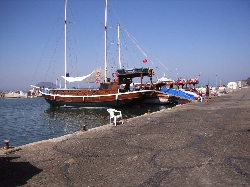 Turgutreis Harbour