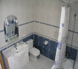 Ensuite Bathroom (downstairs)