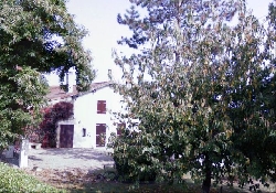View Of House From The Road