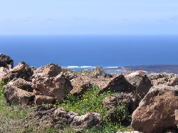 Beautiful Lanzarote in February
