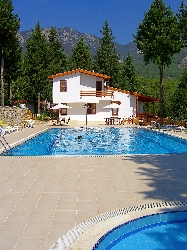 Pool with show home