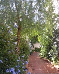 Tiled area to back and side of property