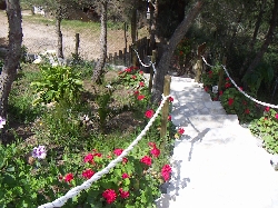the garden