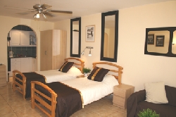 over all view studio