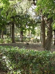 Local park