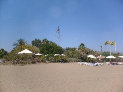 Beach near Costalita