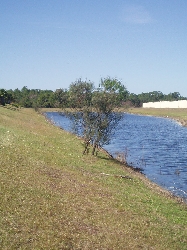 View of lake from rear of property