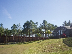 Rear view