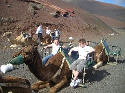camel rides