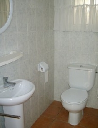 Ground floor toilet