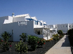 Another glimpse of complex gardens