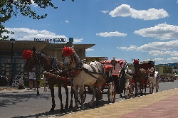 Local Transport