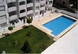 Pool and Gardens
